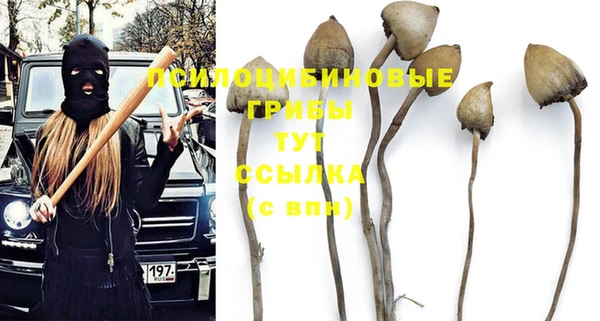 твердый Алексеевка
