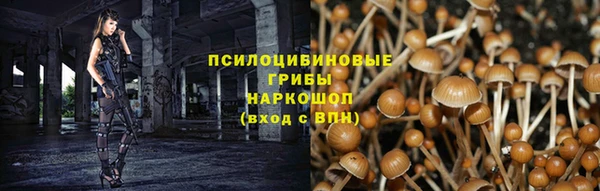 ешки Абдулино