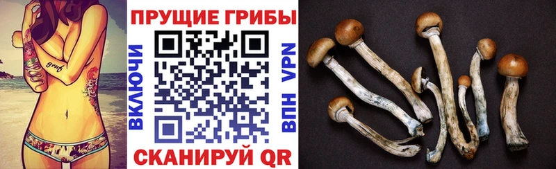 Псилоцибиновые грибы мухоморы  OMG как зайти  Усть-Илимск 